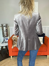 Load image into Gallery viewer, Zara Velour Jacket, Pewter, Size M