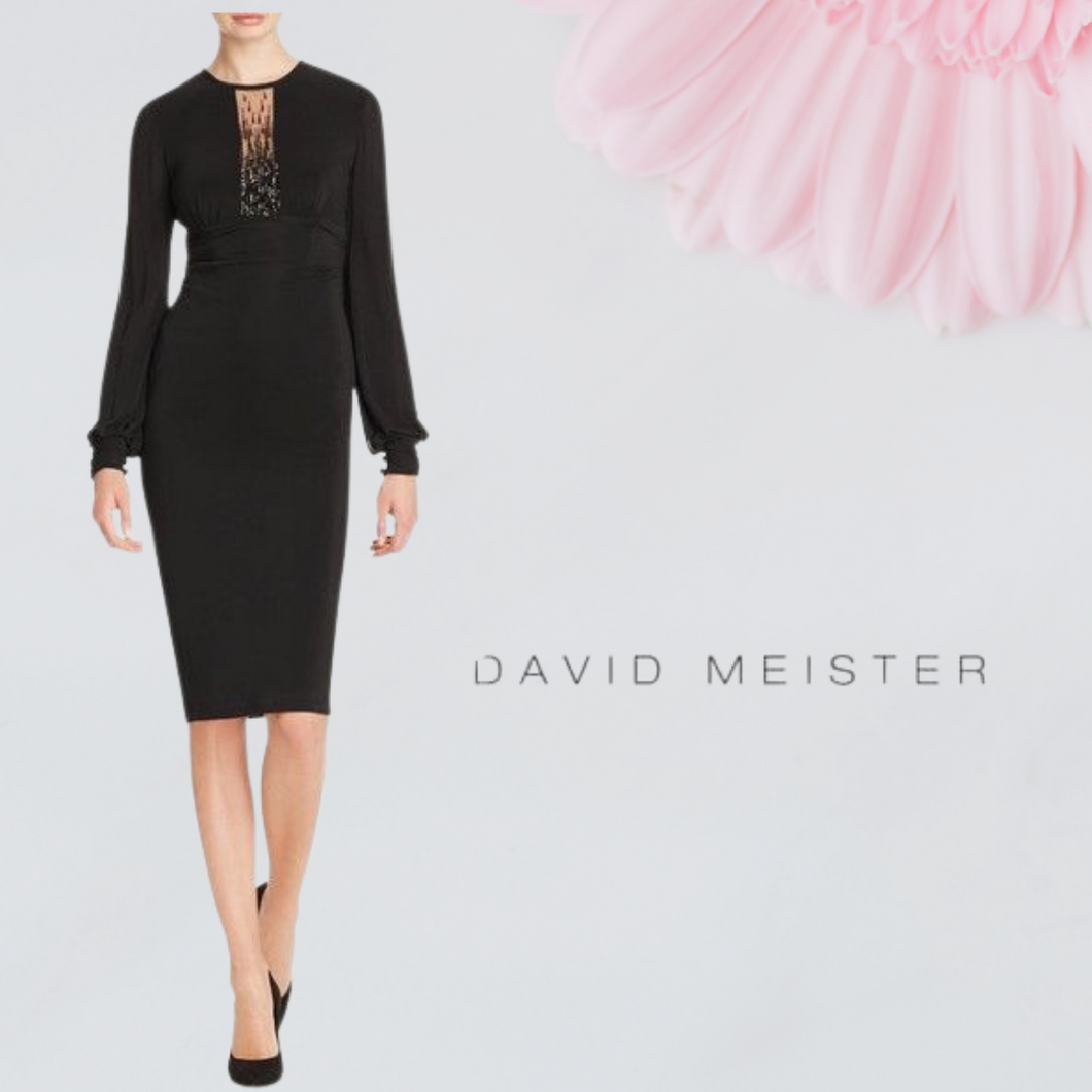 DAVID MEISTER EMBELLISHED INSET DRESS, Black, Size 12